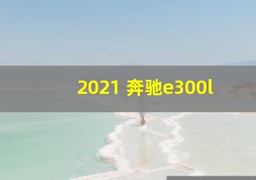 2021 奔驰e300l